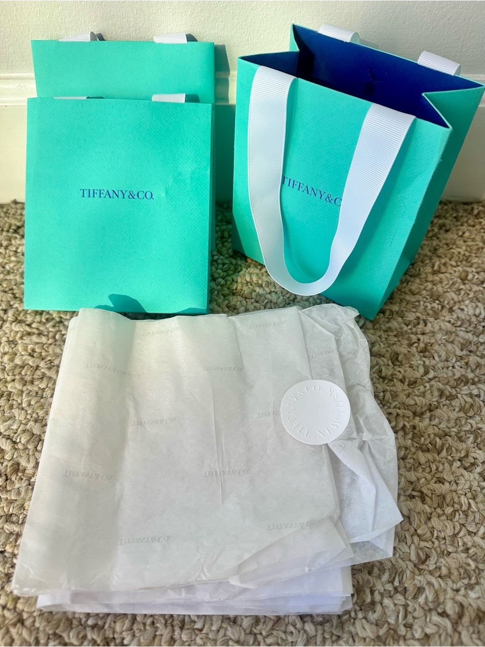 Tiffany & Co. Robin's Egg Blue Gift Bags with White Ribbon Handles
